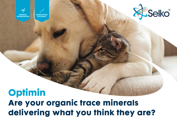 Cover of the Selko, IntelliBond, and Optimin pet nutrition brochure