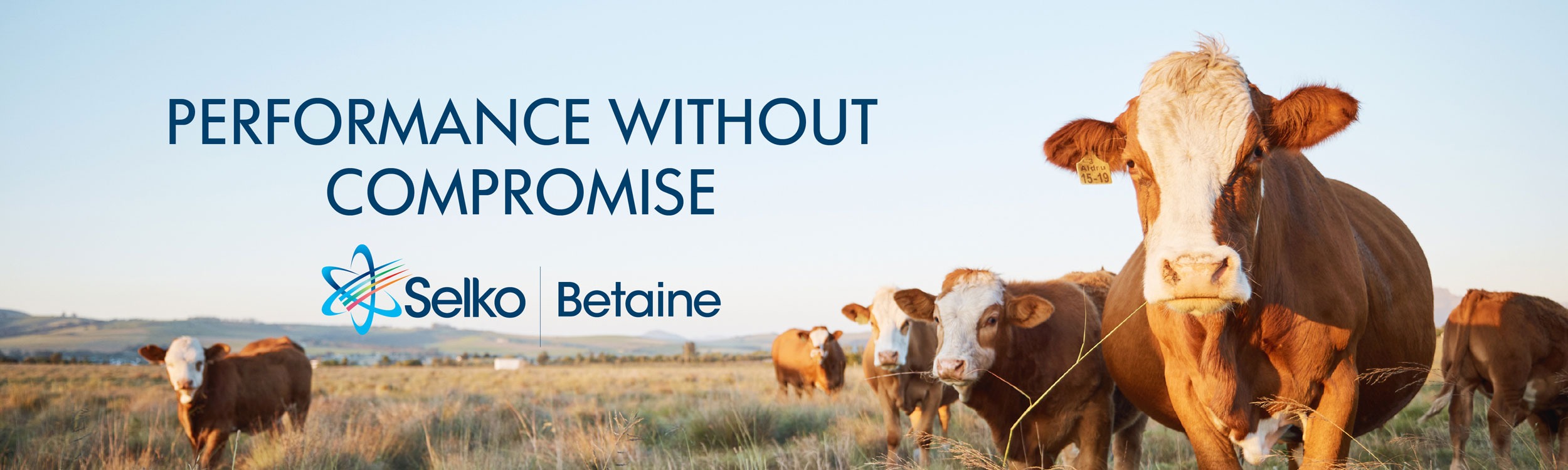 Westside-web-banners---July-2026_Betain-96